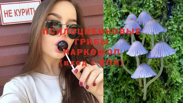 МДПВ Гусь-Хрустальный